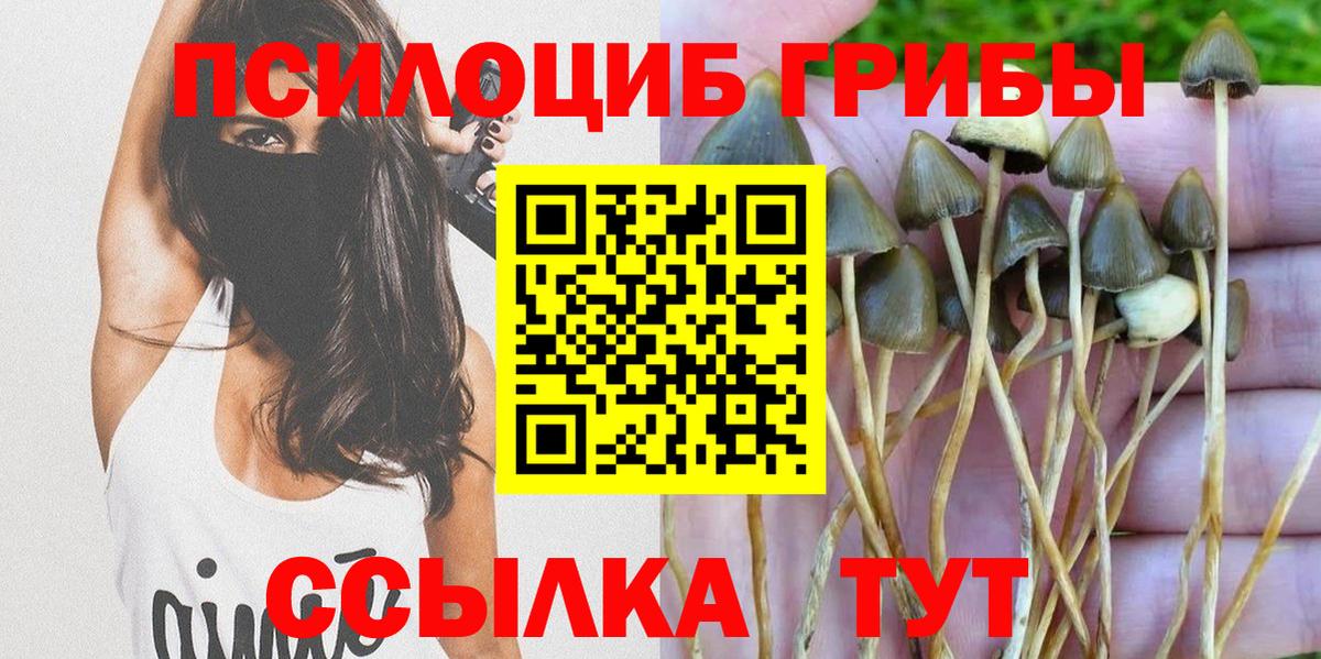 Галлюциногенные грибы GOLDEN TEACHER Волгодонск