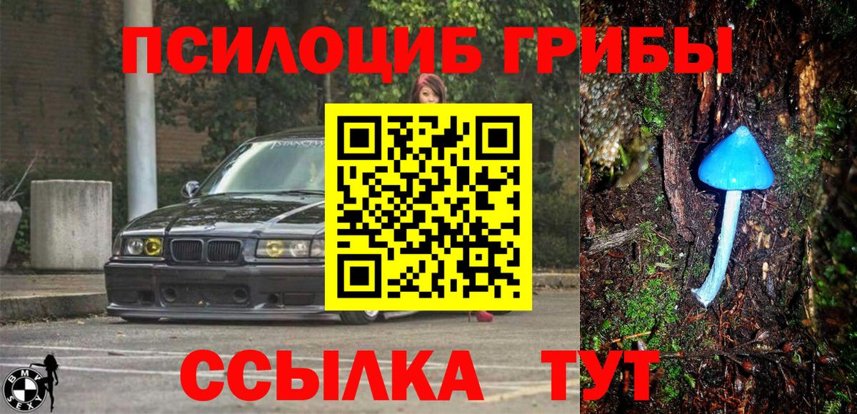 Галлюциногенные грибы мицелий  Вход с VPN  Волгодонск  Псилоцибиновые грибы мицелий 